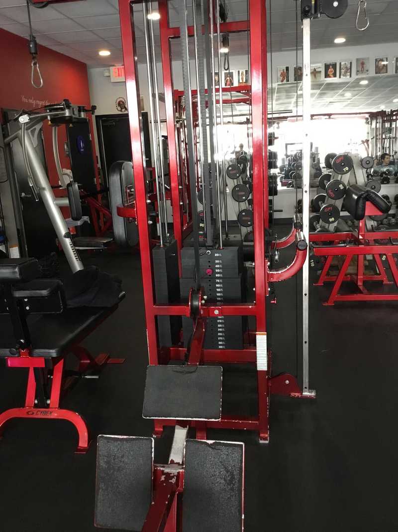 instagram.com/developmentfitnessgym